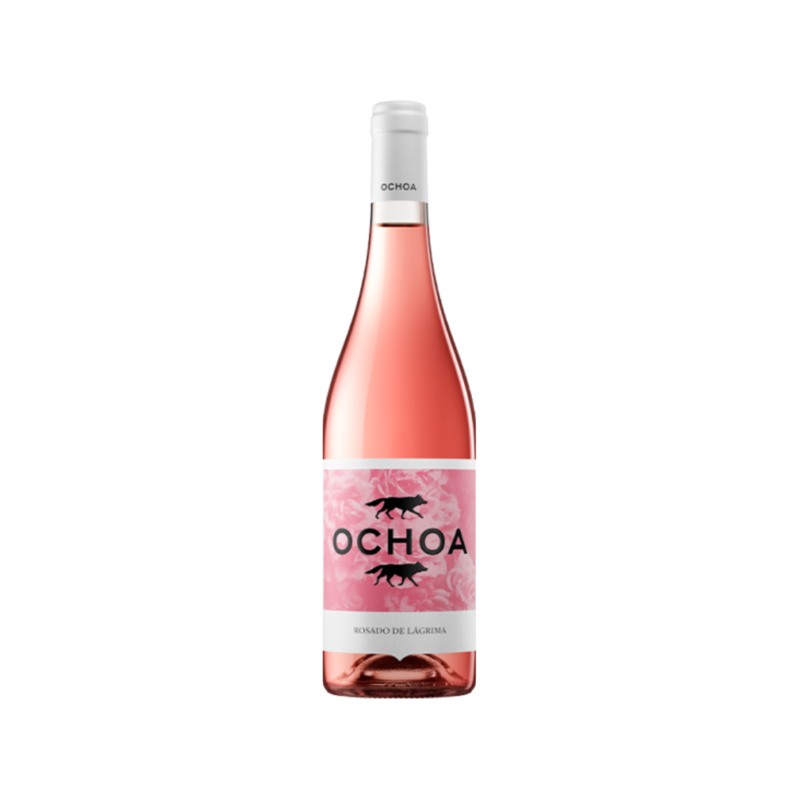 OCHIOA